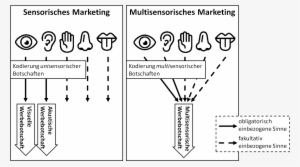 Sensorisches Marketing Versus Multisensorisches Marketing - Multisensuales Marketing Definition