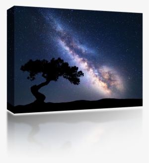 Milky Way Tree - Milky Way