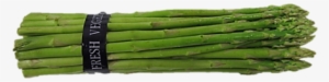 Garden Asparagus