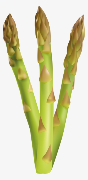 Asparagus Clipart