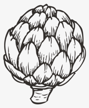 Banner Download Artichoke Drawing Asparagus - Film