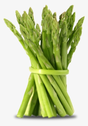 Asparagus