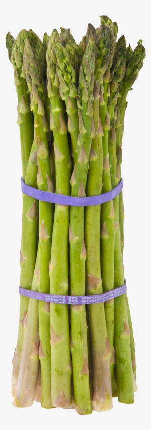 Asparagus Png Image - Asparagus Meaning In Bengali