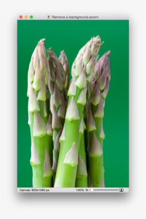 Screen Shot 2015 05 13 At - Farmers Market Asparagus Novelty Metal Circular Sign
