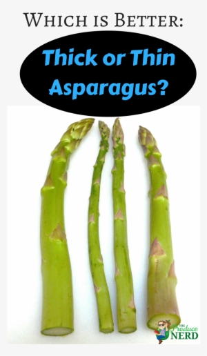 Which Is Better - Thabang Makwetla