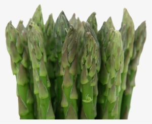 Garden Asparagus