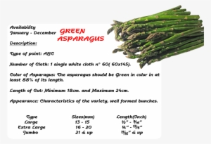 Contact - - Dirty Gardener Mary Washington Asparagus