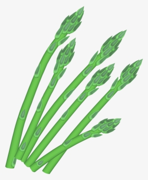 Asparagus - Home Grown Shower Curtain