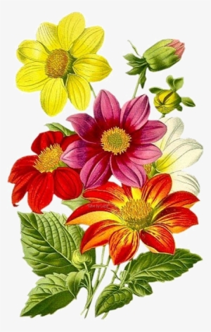 Tole Painting, Pretty Flowers, Art Flowers, Watercolor - กลอน อวยพร อวยพร วัน เกิด