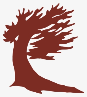 Bristlecone Icon Red Format=1000w
