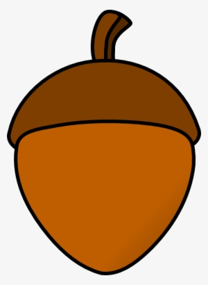 How To Set Use Acorn With Cap Svg Vector