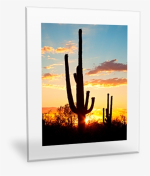 Csi: Crime Scene Investigation: Blood Quantum