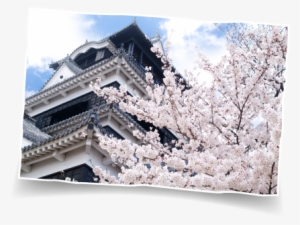Kumamotokumamoto Castle - Kumamoto Castle