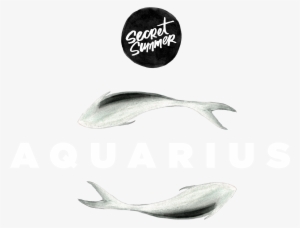 Secret Summer - Aquarius - Sustainable Seafood