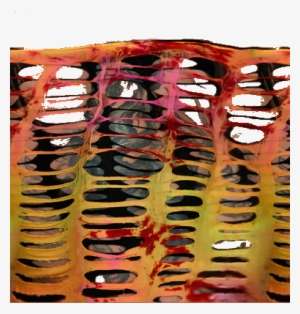 Https - //i - Imgur - Com/yo2gokn - Jeff Hardy Armbands Wwe 2k18