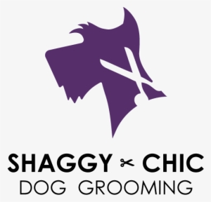 Shaggy-chic