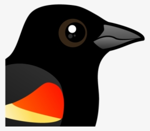 About The Red-winged Blackbird - Red-winged Blackbird
