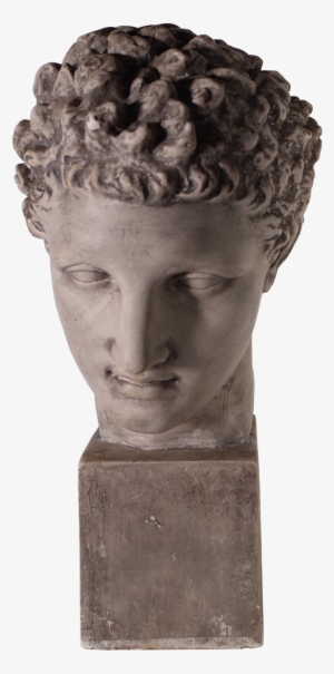 Plaster Bust Of David Fon Png David Bust Statue - Museum