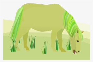 Big Image - Ecosystem