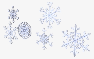 After That, I Added Color, Shading, And Texture To - Blue