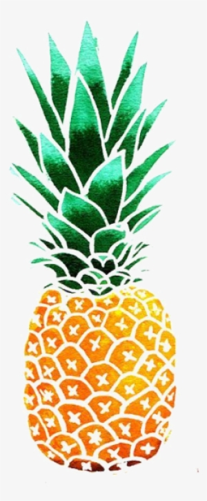 Transparent Pineapple Tumblr - Pineapple Illustration