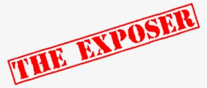 Exposed Stamp Png - Parallel