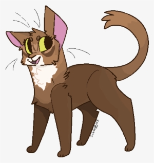 Little Abyssinian Kitty - Cat Yawns