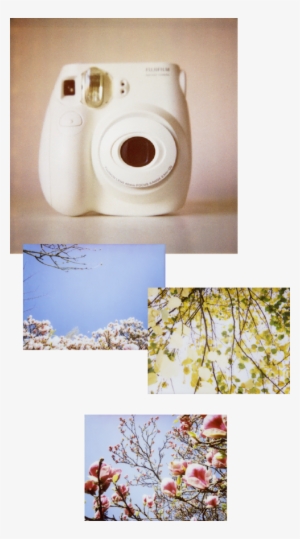 Gerri Sells Tested Polaroid Cameras Including Spectras - Do Polaroid Pictures Look