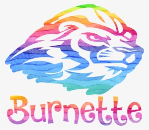 980 Anvil Ringspun T-shirt - Rhinestone Tee Shirt Name And Number Add