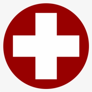 Occupational Health Program - Swiss Air Force Roundel