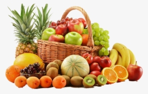 Download Our Product Brochure Here