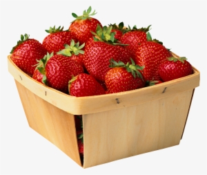 Super Duper Artic Photos S Blends Fun Deck Cards