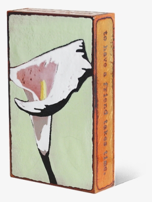 Lilly 099 - Still Life