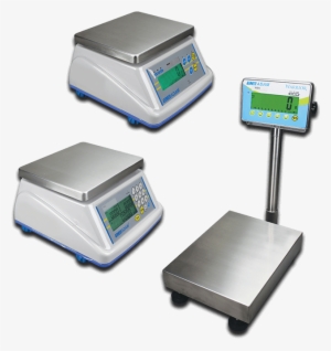 Washdown Scales