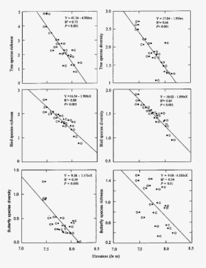 Simple Regression Comparison Of Woody Tree, Bird And - Diagram