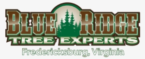 Blue Ridge Tree Experts