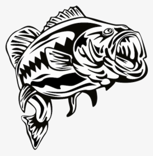 Bass Fish Png - Black And White Largemouth Bass
