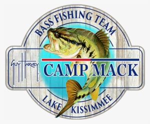 World Class Fishing - Bass And Asst Fish Decal