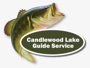 Candlewood Lake Half Day Fishing Trip - Black Bass