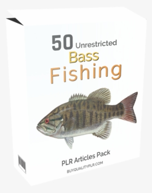 50 Unrestricted Bass Fishing Plr Articles Pack - Giclee Painting: Smallmouth Bass, 61x41in.