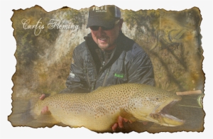 Curtis Fleming - Brown Trout