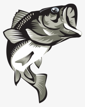 Largemouth Bass Final2coloured