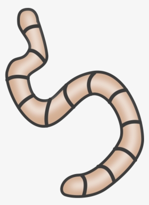 Worm Clipart Transparent Background