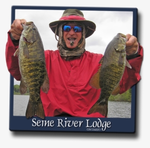 When To Fish Smallmouth Bass On The Seine Chain - Bass