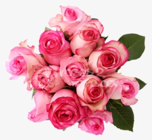 Real Bouquet Png - Fresh Roses