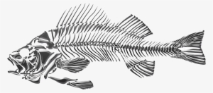 Bulb Drawing Fish - Fish Skeleton Png