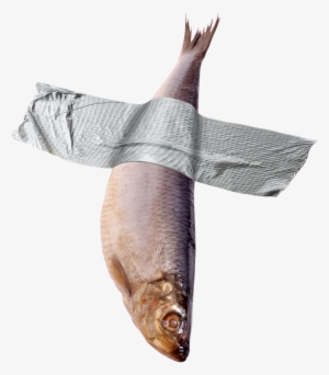 Dead Fish - Strip Of Duct Tape