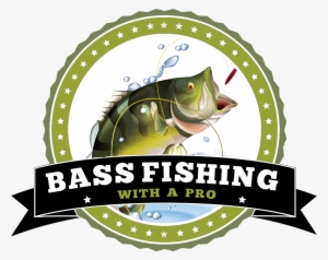 Bass Fishing