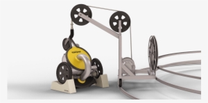 Other Features - Fish