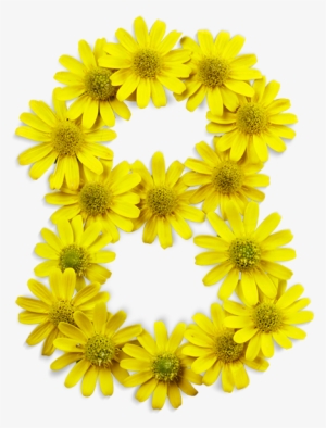 Numbers With Flower Png